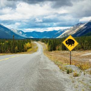 canada/alaska-highway