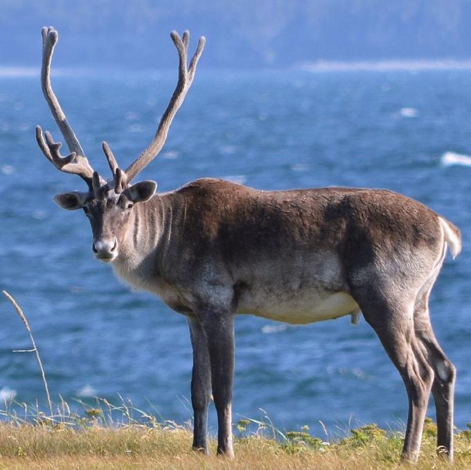 canada/kivalliq-region