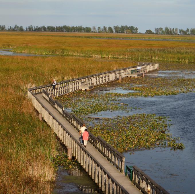 canada/point-pelee-national-park