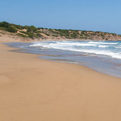 cyprus/lara-beach