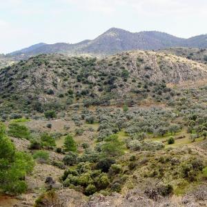 cyprus/troodos-national-forest-park