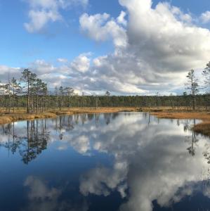 eesti/lahemaa-rahvuspark