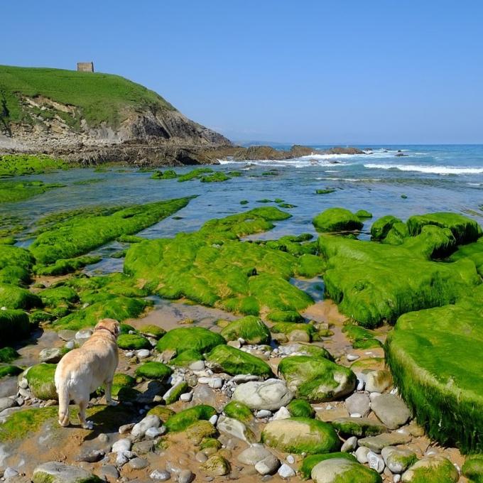 espana/costa-de-cantabria