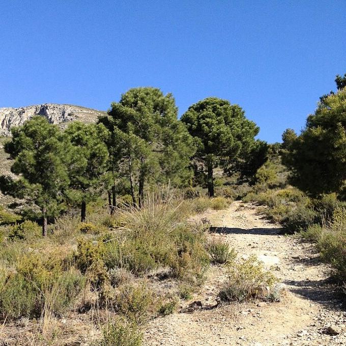 espana/la-axarquia