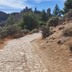 espana/roque-nublo