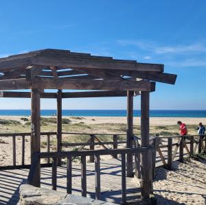 espana/tarifa/playa-de-los-lances