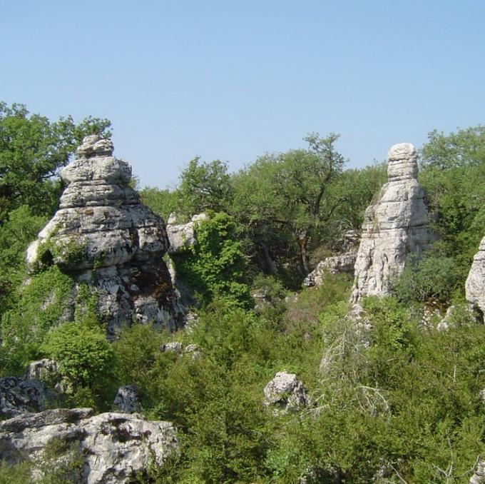 france/auvergne-rhone-alpes/bois-de-paiolive