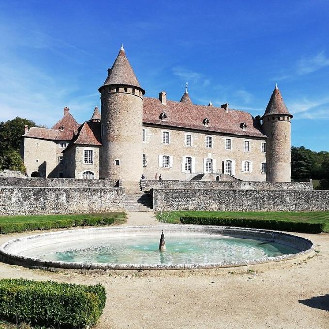 france/auvergne-rhone-alpes/chateau-de-virieu