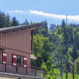 france/auvergne-rhone-alpes/chatel