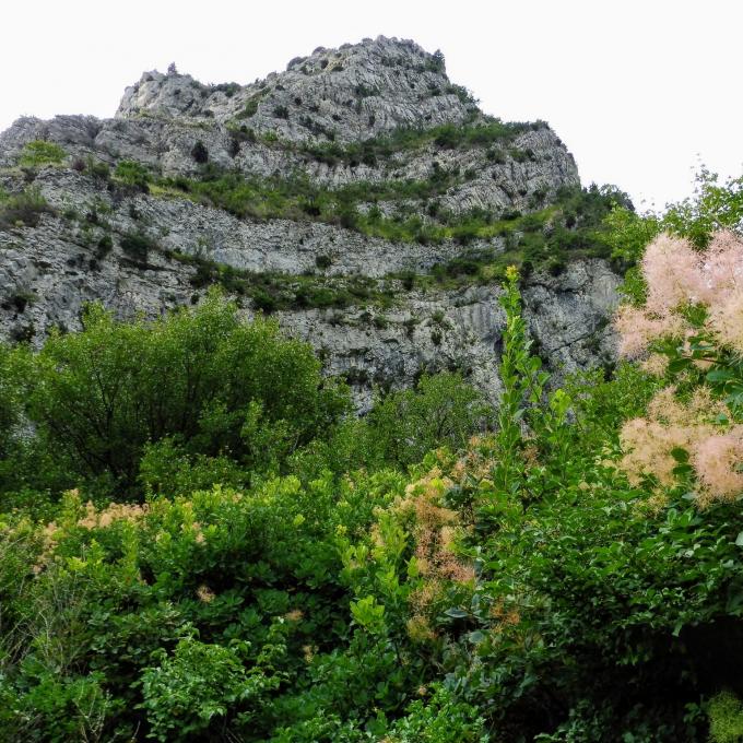 france/auvergne-rhone-alpes/foret-de-saou