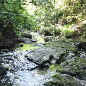 france/auvergne-rhone-alpes/gorges-de-l-alagnon