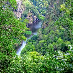 france/auvergne-rhone-alpes/gorges-de-l-allier