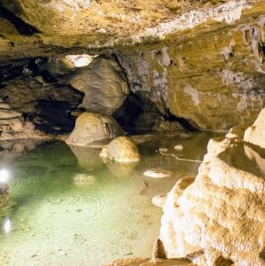 france/auvergne-rhone-alpes/grottes-de-la-balme