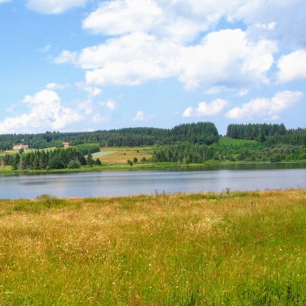 france/auvergne-rhone-alpes/lac-de-devesset