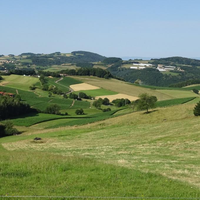 france/auvergne-rhone-alpes/monts-du-lyonnais