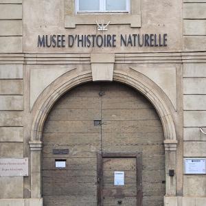 france/bourgogne-franche-comte/autun/museum-d-histoire-naturelle