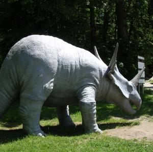 france/bourgogne-franche-comte/cardoland