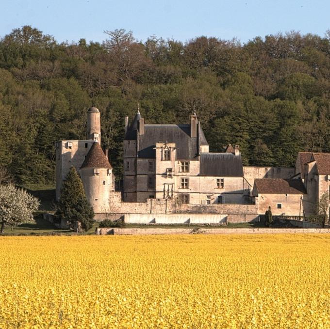 france/bourgogne-franche-comte/chateau-de-faulin