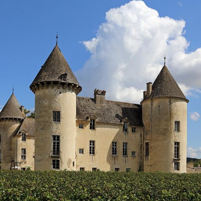 france/bourgogne-franche-comte/chateau-de-savigny-les-beaune