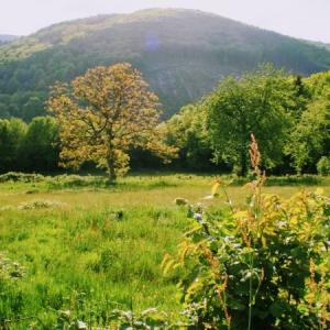 france/bourgogne-franche-comte/morvan