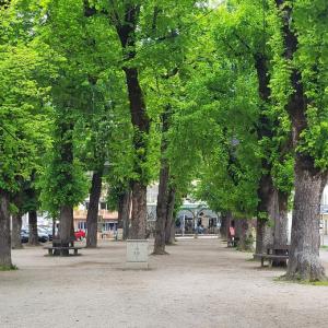 france/bourgogne-franche-comte/ornans/place-courbet