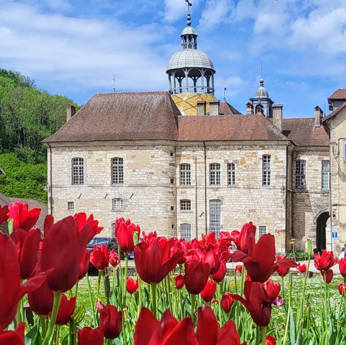 france/bourgogne-franche-comte/salins-les-bains/hotel-de-ville