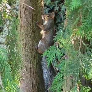 france/centre-val-de-loire/arboretum-national-des-barres