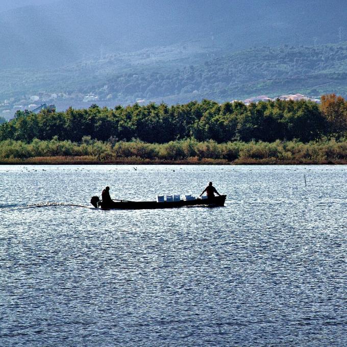 france/corse/etang-de-biguglia