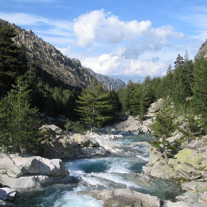 france/corse/gorges-de-la-restonica