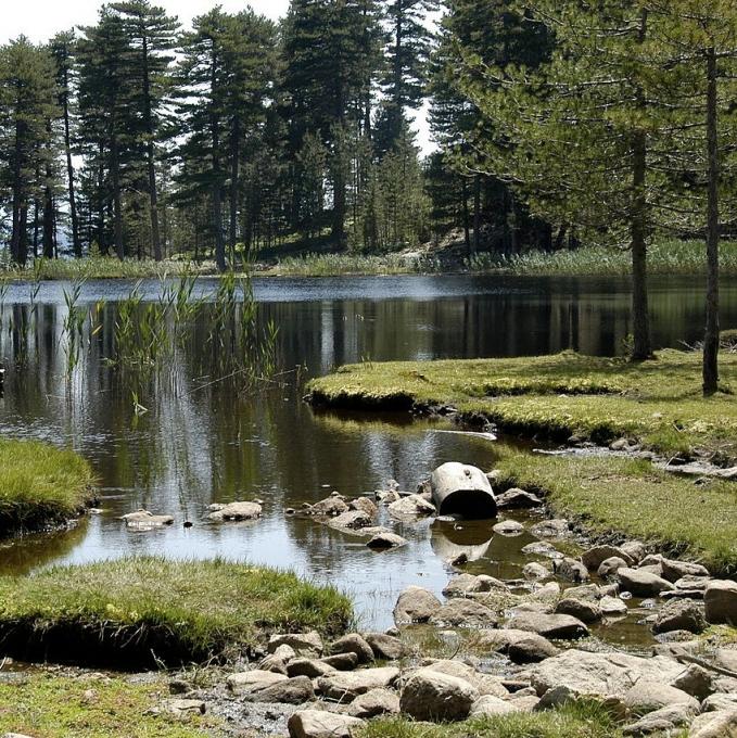 france/corse/lac-de-creno