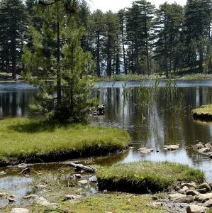 france/corse/lac-de-creno