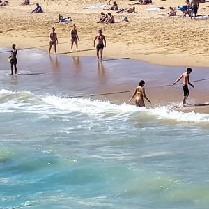 france/corse/plage-de-palombaggia