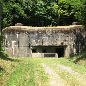 france/grand-est/fort-de-fermont