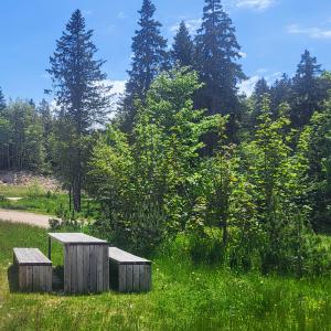 france/grand-est/parc-naturel-regional-de-lorraine