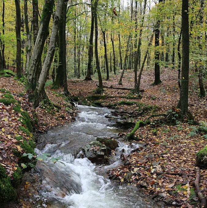 france/grand-est/parc-naturel-regional-des-ardennes