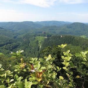 france/grand-est/parc-naturel-regional-des-vosges-du-nord