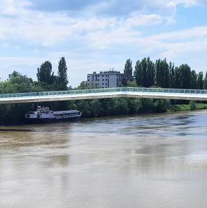 france/grand-est/thionville/passerelle-de-l-europe