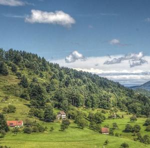 france/grand-est/vallee-de-munster