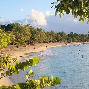 france/guadeloupe/plage-du-souffleur-de-port-louis