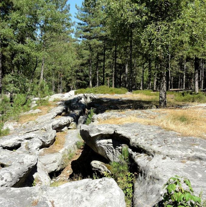 france/hauts-de-france/foret-de-retz