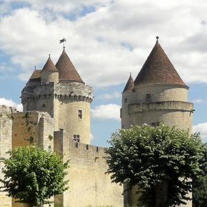 france/ile-de-france/chateau-de-blandy-les-tours