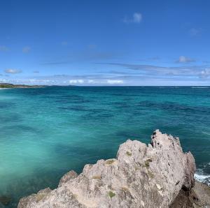 france/martinique/le-marin/anse-grosse-roche