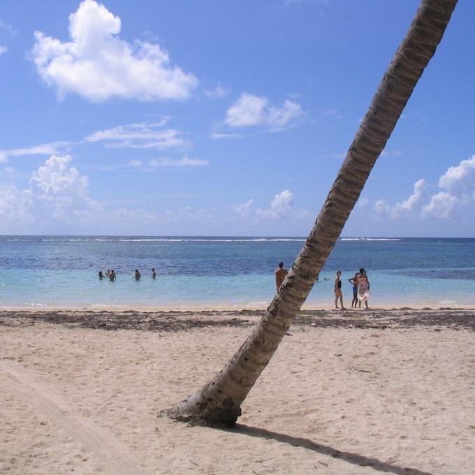 france/martinique/plage-de-l-anse-michel