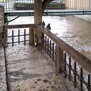 france/normandie/gisors/lavoir