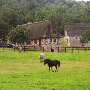 france/normandie/le-marais-vernier