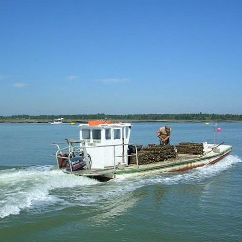 france/nouvelle-aquitaine/bassin-de-marennes-oleron