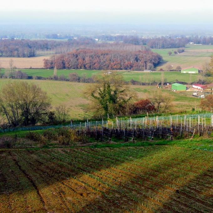 france/nouvelle-aquitaine/chalosse