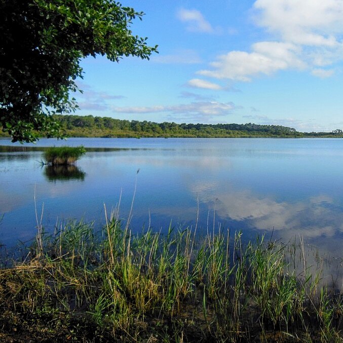 france/nouvelle-aquitaine/etang-de-biscarosse