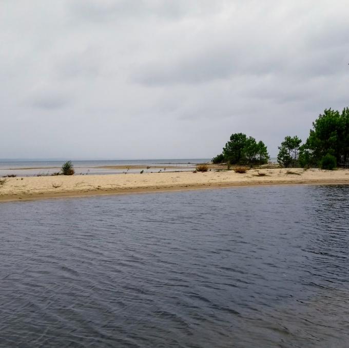 france/nouvelle-aquitaine/etang-de-cazaux-sanguinet