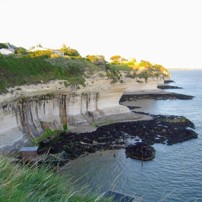 france/nouvelle-aquitaine/falaises-de-meschers-sur-gironde